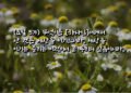 눈과 귀를 막기 위해 역사하는 영들