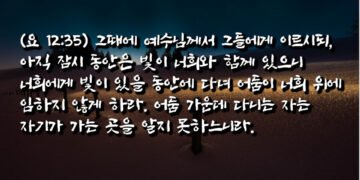 빛 가운데 걷는 자와 어둠 가운데 걷는 자