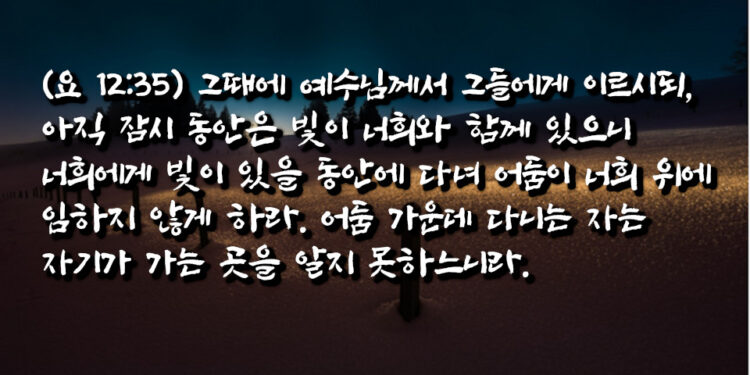 빛 가운데 걷는 자와 어둠 가운데 걷는 자