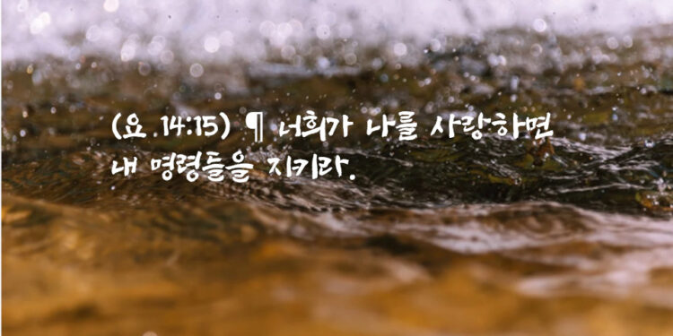 너희가 나를 사랑하면