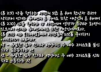 외모가 아니라 마음의 중심을 보시는 하나님