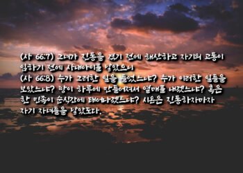 순식간에 태어난 한 민족
