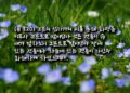 화해