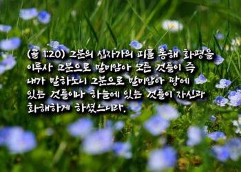 화해