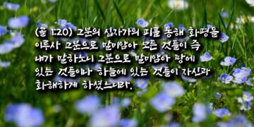 화해