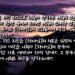 마지막 믿음의 후손