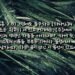 주의 이름을 부르는 자