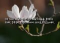 인내