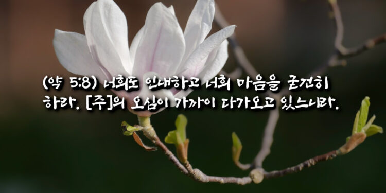 인내
