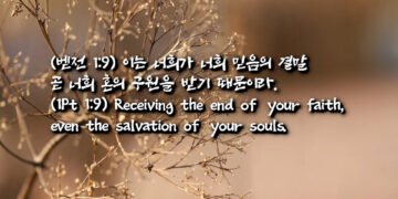 믿음의 결말 혼의 구원