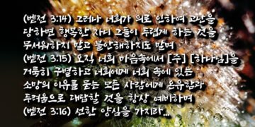 하나님께 주목받는 자들
