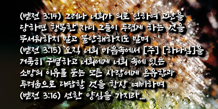 하나님께 주목받는 자들