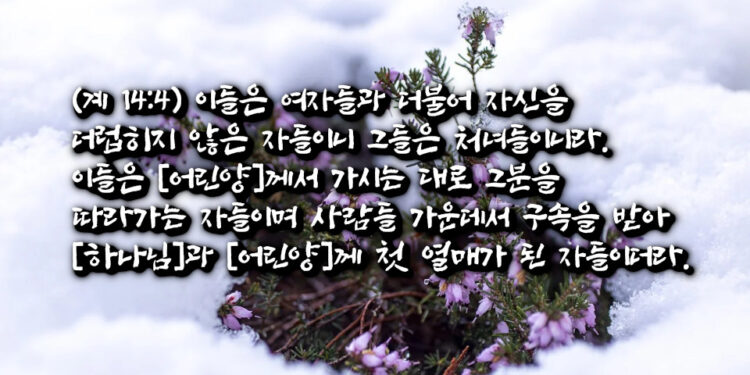 여자들과 더불어 자신을 더럽히지 않은 자들