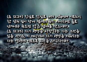 오해