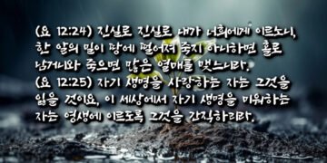 오해