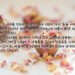 의롭게 하시는 이