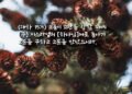 하나님을 향한 영적 회복의 지속