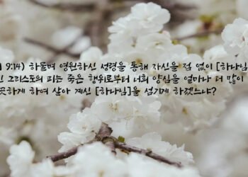새 상속 언약의 피
