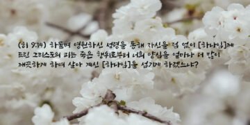 새 상속 언약의 피