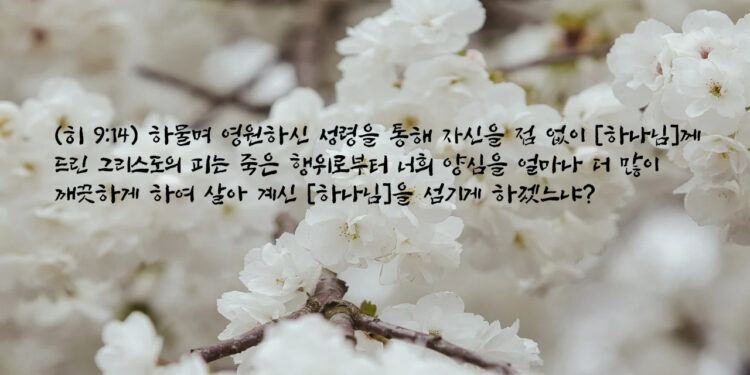 새 상속 언약의 피