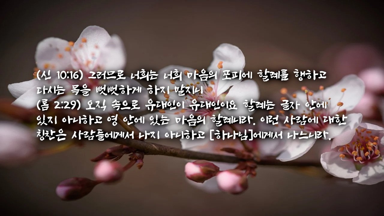 마음에 할례받은 새 상속 언약 백성 – Remnant Warrior