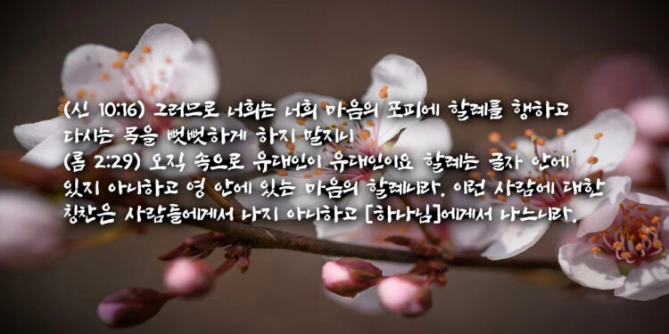 마음에 할례받은 새 상속 언약 백성