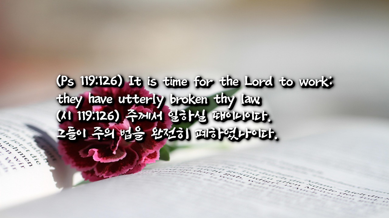 하나님 말씀 사랑