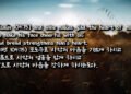 포도주와 기름과 빵
