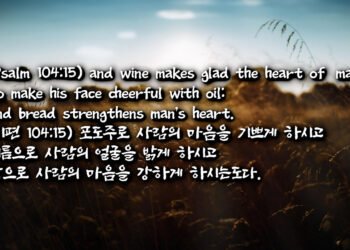 포도주와 기름과 빵