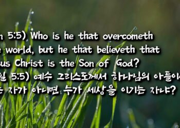 요한일서 5:5 그리스도 삭제됨