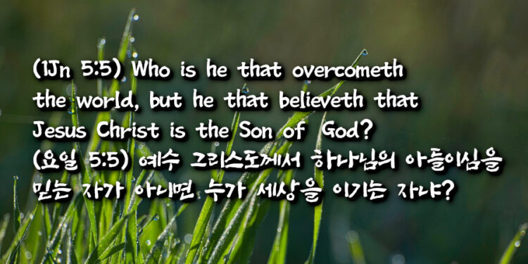 요한일서 5:5에 그리스도 삭제됨