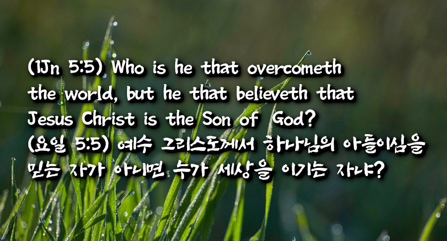 요한일서 5:5에 그리스도 삭제됨