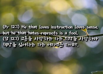 슬기로운 자와 미련한 자