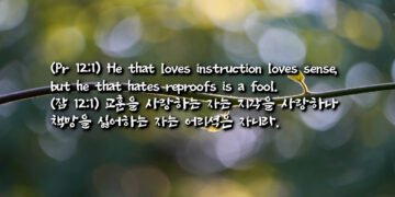 슬기로운 자와 미련한 자