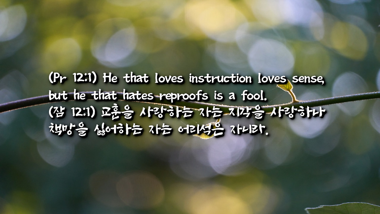 슬기로운 자와 미련한 자