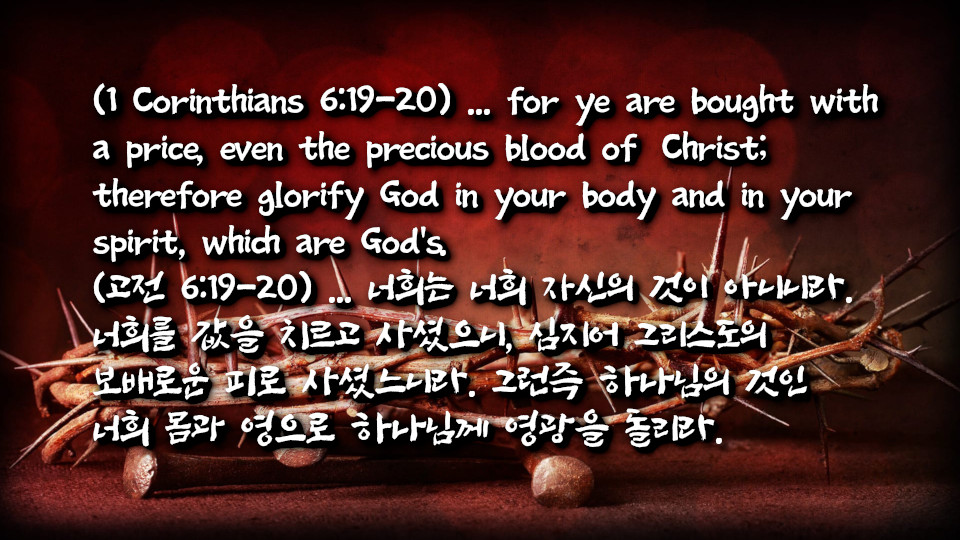 고린도전서 6:20 그리스도의 보배로운 피 삭제됨