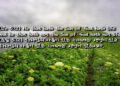 요한일서 5:12 하나님 삭제됨