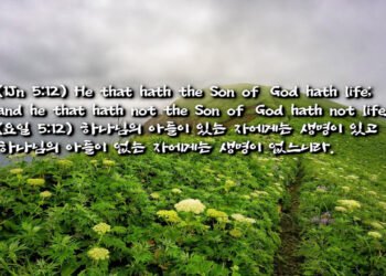 요한일서 5:12 하나님 삭제됨