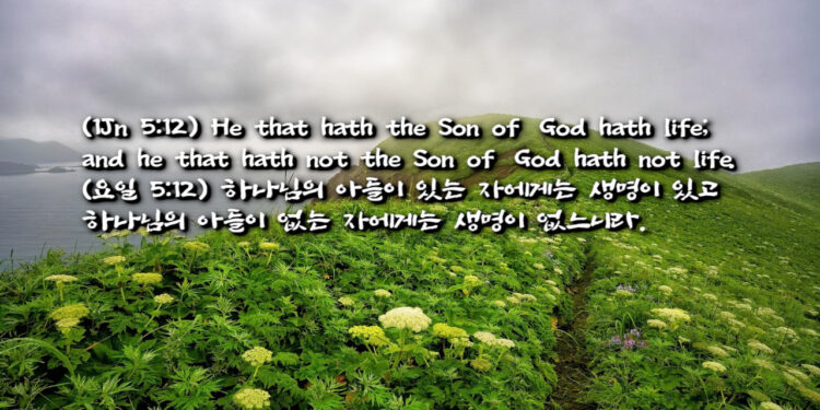 요한일서 5:12 하나님 삭제됨