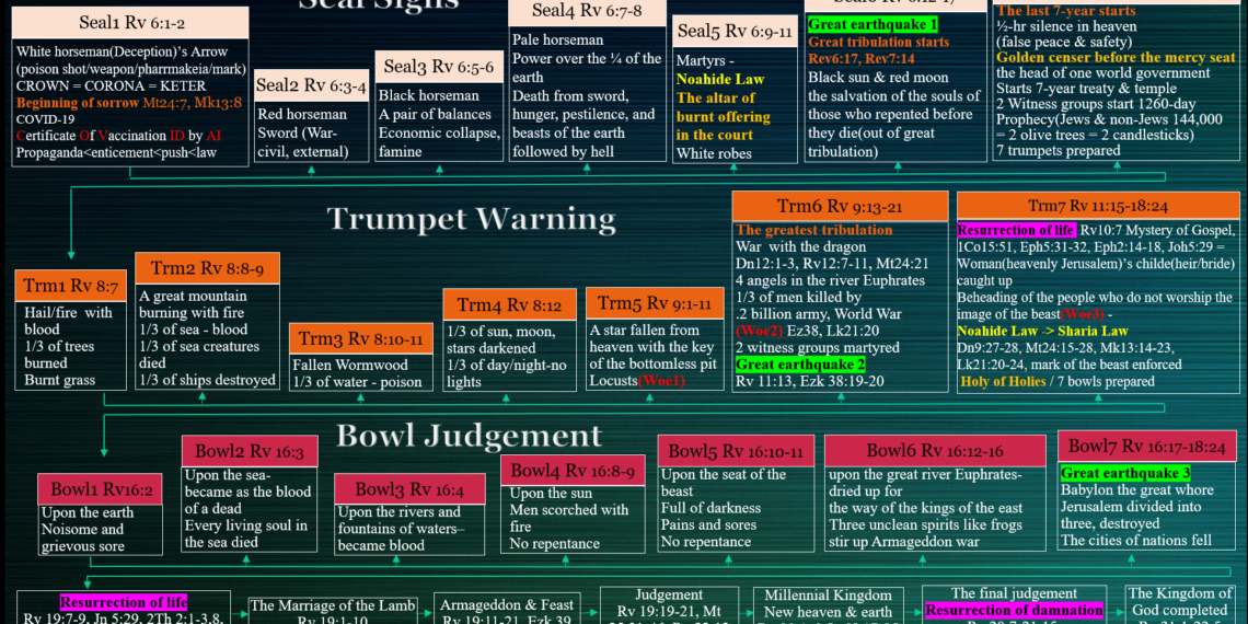 신호 경고 심판