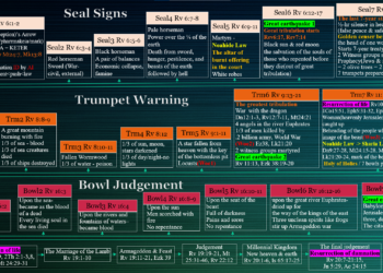 신호 경고 심판