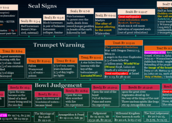신호 경고 심판