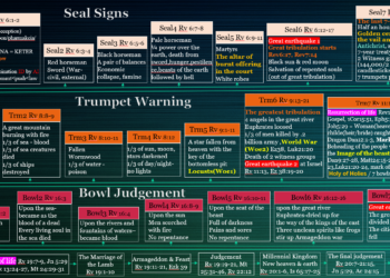 신호 경고 심판