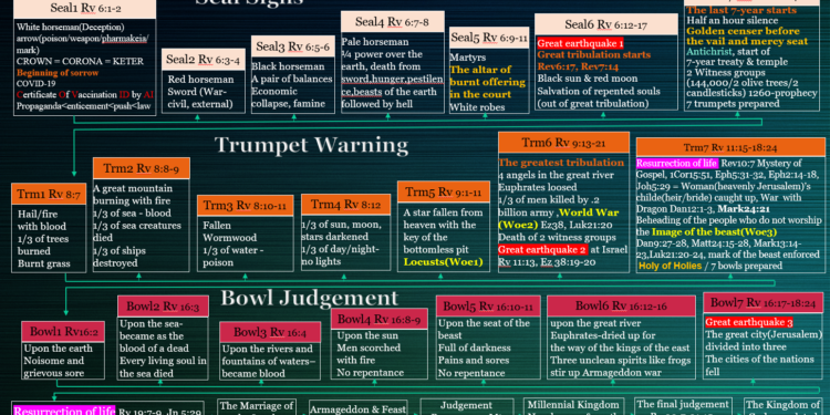 신호 경고 심판