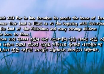 점술로 가득한 땅