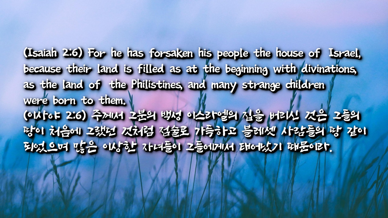 점술로 가득한 땅