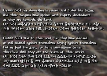 하나님의 심판