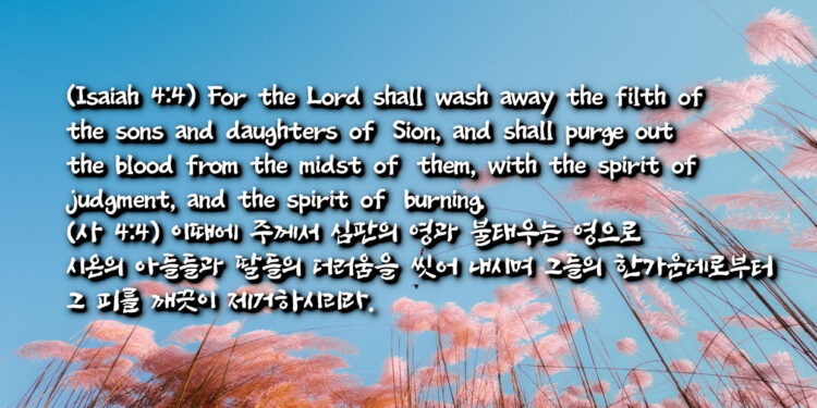 심판의 영 불태우는 영