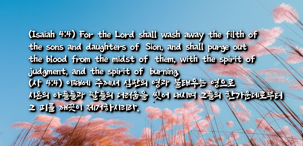 심판의 영 불태우는 영