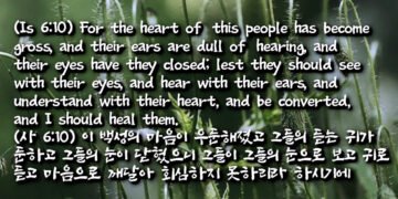 강퍆한 마음의 끝